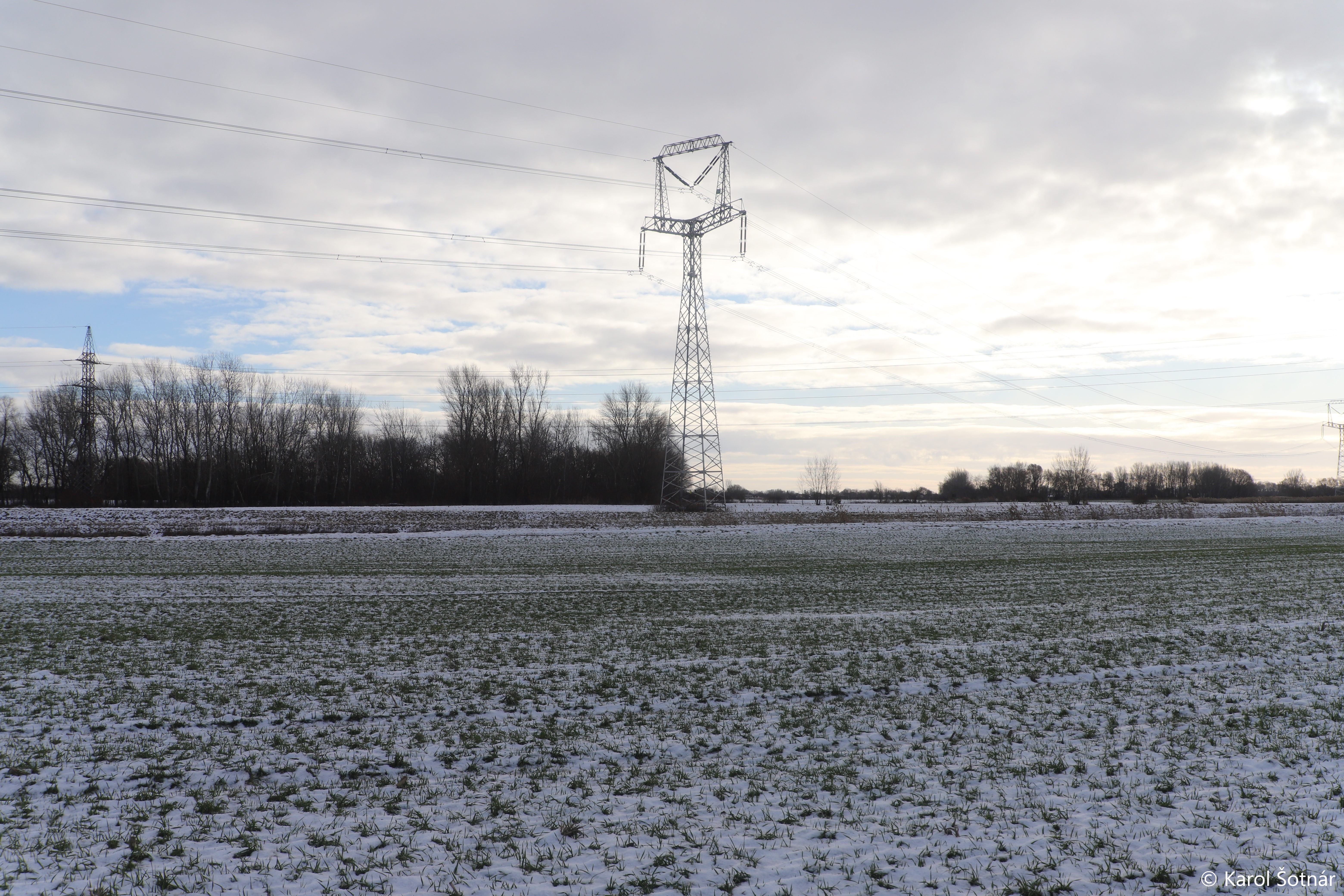 Das Vormonitoring („Recognition survey“) HAT BEGONNEN